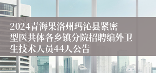 2024青海果洛州玛沁县紧密型医共体各乡镇分院招聘编外卫生技术人员44人公告
