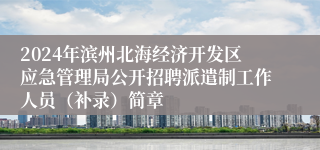 2024年滨州北海经济开发区应急管理局公开招聘派遣制工作人员（补录）简章