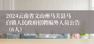 2024云南省文山州马关县马白镇人民政府招聘编外人员公告（6人）