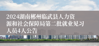 2024湖南郴州临武县人力资源和社会保障局第二批就业见习人员4人公告