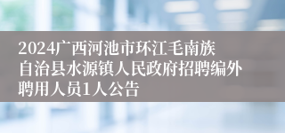 2024广西河池市环江毛南族自治县水源镇人民政府招聘编外聘用人员1人公告