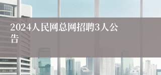 2024人民网总网招聘3人公告