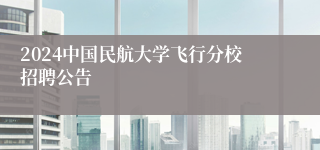 2024中国民航大学飞行分校招聘公告