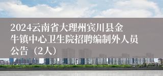 2024云南省大理州宾川县金牛镇中心卫生院招聘编制外人员公告（2人）