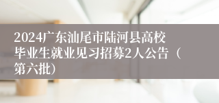 2024广东汕尾市陆河县高校毕业生就业见习招募2人公告（第六批）