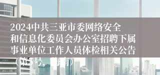 2024中共三亚市委网络安全和信息化委员会办公室招聘下属事业单位工作人员体检相关公告（第5号，海南）