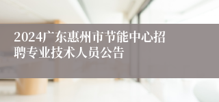 2024广东惠州市节能中心招聘专业技术人员公告