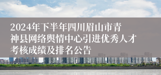 2024年下半年四川眉山市青神县网络舆情中心引进优秀人才考核成绩及排名公告
