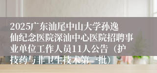 2025广东汕尾中山大学孙逸仙纪念医院深汕中心医院招聘事业单位工作人员11人公告（护技药与非卫生技术第一批） 