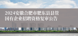 2024安徽合肥市肥东县县管国有企业招聘资格复审公告