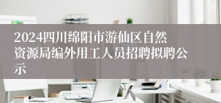 2024四川绵阳市游仙区自然资源局编外用工人员招聘拟聘公示