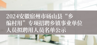 2024安徽宿州市砀山县“乡编村用”专项招聘乡镇事业单位人员拟聘用人员名单公示