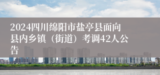 2024四川绵阳市盐亭县面向县内乡镇（街道）考调42人公告