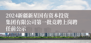 2024新疆新星国有资本投资集团有限公司第一批竞聘上岗聘任前公示