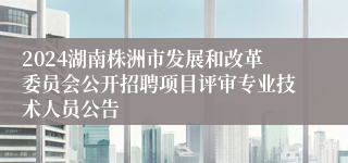 2024湖南株洲市发展和改革委员会公开招聘项目评审专业技术人员公告