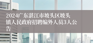 2024广东湛江市坡头区坡头镇人民政府招聘编外人员3人公告
