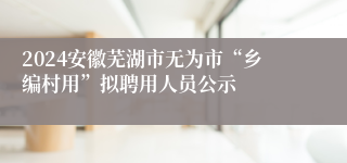 2024安徽芜湖市无为市“乡编村用”拟聘用人员公示