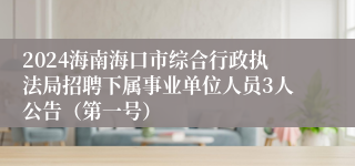 2024海南海口市综合行政执法局招聘下属事业单位人员3人公告（第一号）
