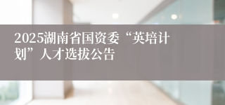 2025湖南省国资委“英培计划”人才选拔公告