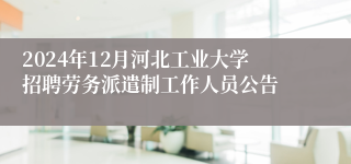 2024年12月河北工业大学招聘劳务派遣制工作人员公告