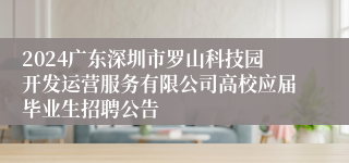2024广东深圳市罗山科技园开发运营服务有限公司高校应届毕业生招聘公告