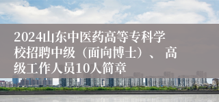 2024山东中医药高等专科学校招聘中级（面向博士）、 高级工作人员10人简章