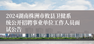 2024湖南株洲市攸县卫健系统公开招聘事业单位工作人员面试公告