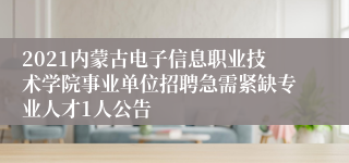 2021内蒙古电子信息职业技术学院事业单位招聘急需紧缺专业人才1人公告