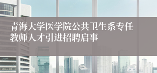 青海大学医学院公共卫生系专任教师人才引进招聘启事