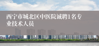 西宁市城北区中医院诚聘1名专业技术人员