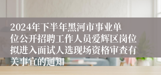 2024年下半年黑河市事业单位公开招聘工作人员爱辉区岗位拟进入面试人选现场资格审查有关事宜的通知