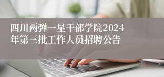 四川两弹一星干部学院2024年第三批工作人员招聘公告