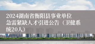 2024湖南省衡阳县事业单位急需紧缺人才引进公告（卫健系统20人）