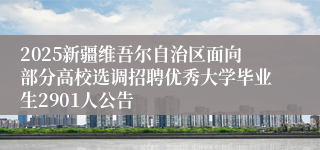 2025新疆维吾尔自治区面向部分高校选调招聘优秀大学毕业生2901人公告