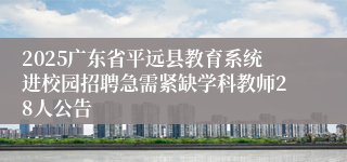 2025广东省平远县教育系统进校园招聘急需紧缺学科教师28人公告