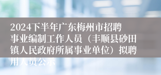 2024下半年广东梅州市招聘事业编制工作人员（丰顺县砂田镇人民政府所属事业单位）拟聘用人员公示