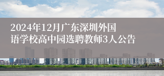 2024年12月广东深圳外国语学校高中园选聘教师3人公告