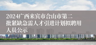 2024广西来宾市合山市第二批紧缺急需人才引进计划拟聘用人员公示
