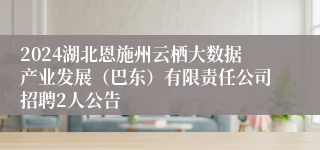 2024湖北恩施州云栖大数据产业发展（巴东）有限责任公司招聘2人公告