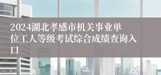 2024湖北孝感市机关事业单位工人等级考试综合成绩查询入口