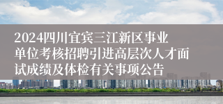2024四川宜宾三江新区事业单位考核招聘引进高层次人才面试成绩及体检有关事项公告