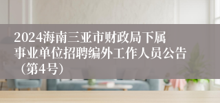 2024海南三亚市财政局下属事业单位招聘编外工作人员公告（第4号）