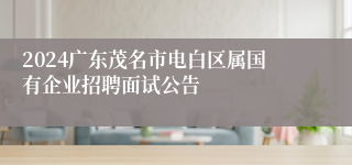 2024广东茂名市电白区属国有企业招聘面试公告