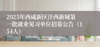 2025年西咸新区沣西新城第一批就业见习单位招募公告（154人）