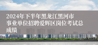 2024年下半年黑龙江黑河市事业单位招聘爱辉区岗位考试总成绩