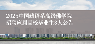 2025中国藏语系高级佛学院招聘应届高校毕业生3人公告