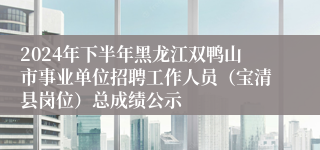 2024年下半年黑龙江双鸭山市事业单位招聘工作人员（宝清县岗位）总成绩公示