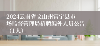 2024云南省文山州富宁县市场监督管理局招聘编外人员公告（1人）