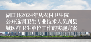 湖口县2024年从农村卫生院公开选调卫生专业技术人员到县城医疗卫生单位工作的实施方案