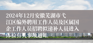 2024年12月安徽芜湖市弋江区编外聘用工作人员及区属国企工作人员招聘拟递补人员进入体检有关事项通知